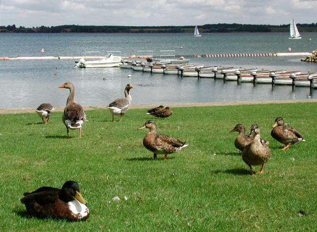 Grafham Water Lodge Exteriér fotografie